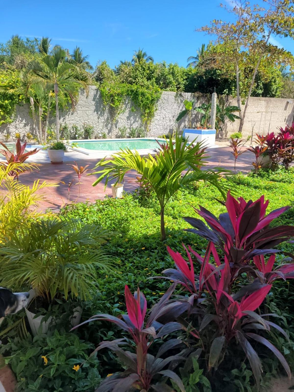 La Pucca Hotel Boutique Resort Penita de Jaltemba Dış mekan fotoğraf